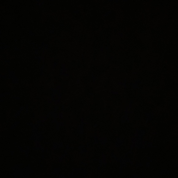 lilycostanza
